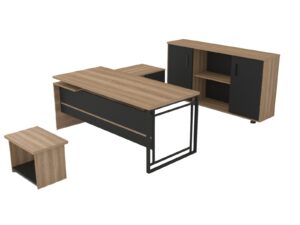 מערכת מנהל דגם STEP