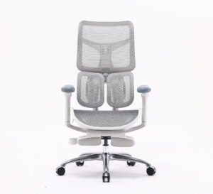 כסא מנהלים - דגם SIHOO Doro-S100