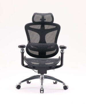 כסא מנהלים - דגם SIHOO Doro-C300 PRO