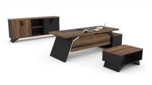 מערכת מנהלים יוקרתית דגם פיגסוס